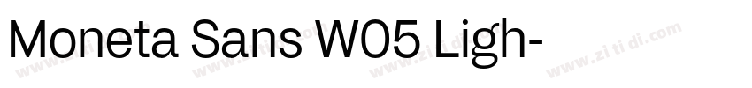 Moneta Sans W05 Ligh字体转换